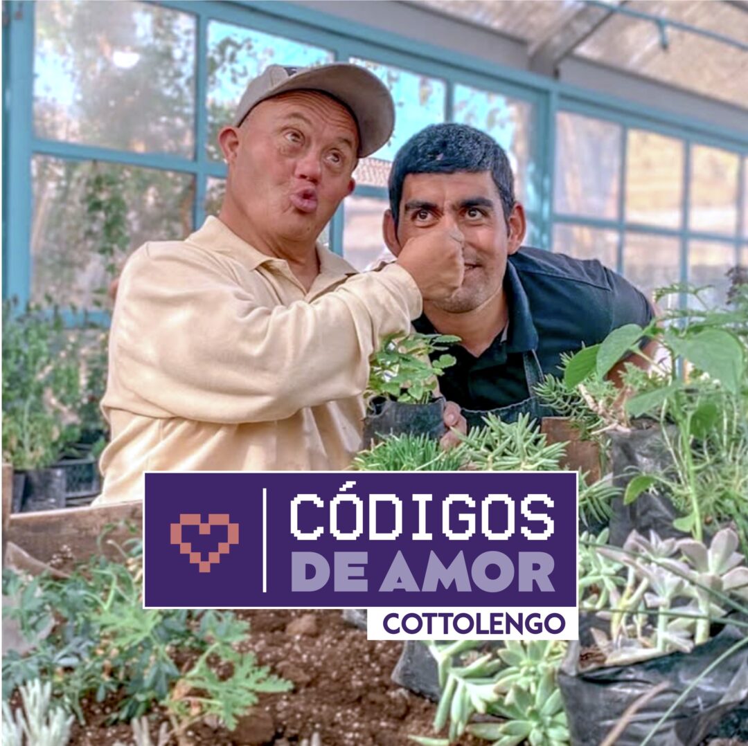Cottolengo Códigos de Amor